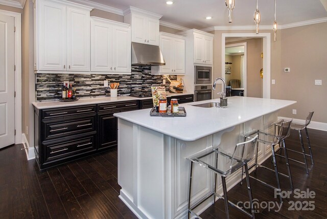 5059 Valita Rd, York, SC 29745 - kitchen with under cabinet range hood, stainless steel appliances, a sink, and backsplash