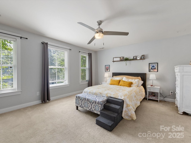 6909 Dunton St, Huntersville, NC 28078 - bedroom featuring baseboards, multiple windows, and carpet flooring