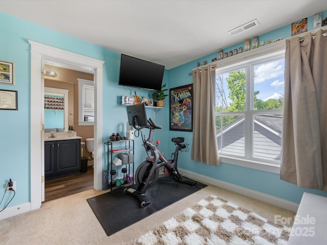 6909 Dunton St, Huntersville, NC 28078 - exercise room with carpet flooring, baseboards, visible vents, and a sink