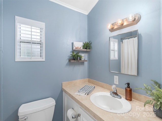 219 Pike Pt, Waynesville, NC 28785 - full bath with vanity, ornamental molding, and toilet