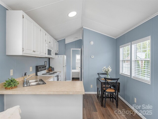 219 Pike Pt, Waynesville, NC 28785 - kitchen with a sink, lofted ceiling, white appliances, dark wood-type flooring, and light countertops