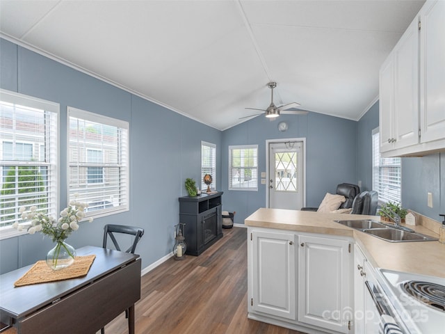 219 Pike Pt, Waynesville, NC 28785 - kitchen with a sink, a peninsula, dark wood-style floors, white cabinets, and baseboards