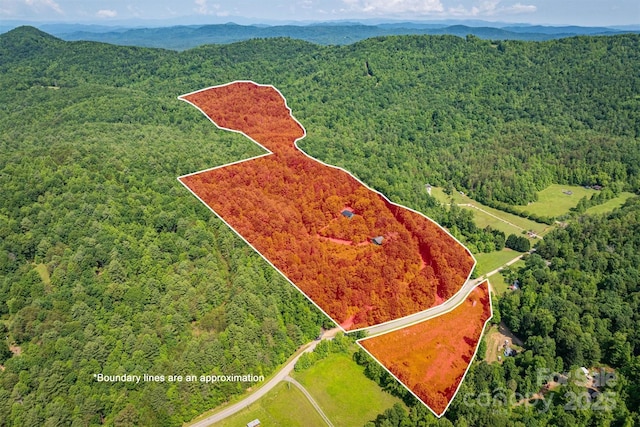 1533 Mcrary Creek Rd, Lenoir, NC 28645 - aerial overview of property's location with a forest, property boundaries highlighted, and a mountainous background