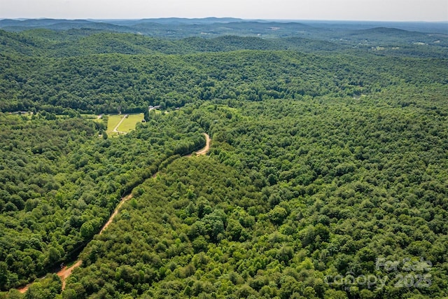 1533 Mcrary Creek Rd, Lenoir, NC 28645 - bird's eye view of a heavily wooded area