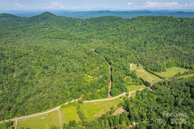 1533 Mcrary Creek Rd, Lenoir, NC 28645 - aerial overview of property's location featuring a heavily wooded area and a mountain backdrop