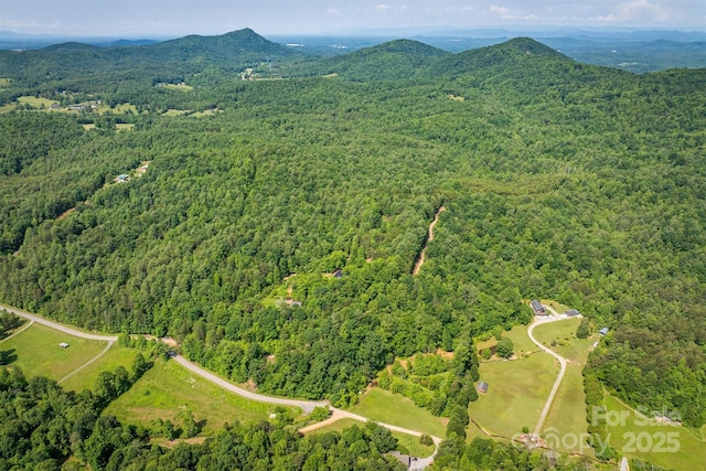1533 Mcrary Creek Rd, Lenoir, NC 28645 - view of property location featuring a heavily wooded area and mountains