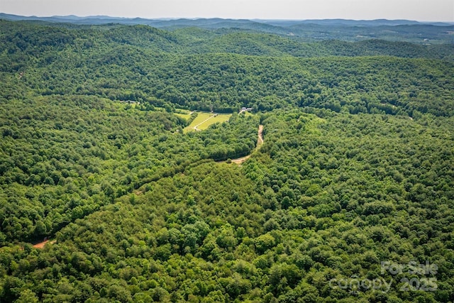 1533 Mcrary Creek Rd, Lenoir, NC 28645 - aerial view of a forest and mountains