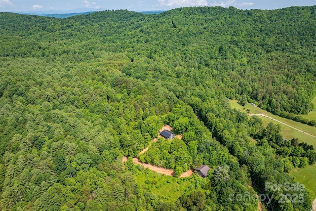 1533 Mcrary Creek Rd, Lenoir, NC 28645 - view of property location with a heavily wooded area