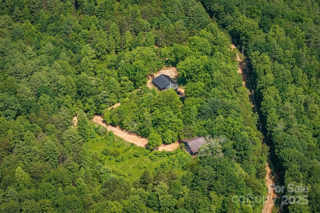 1533 Mcrary Creek Rd, Lenoir, NC 28645 - drone / aerial view of a forest