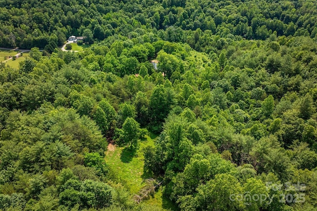 1533 Mcrary Creek Rd, Lenoir, NC 28645 - aerial view of a heavily wooded area