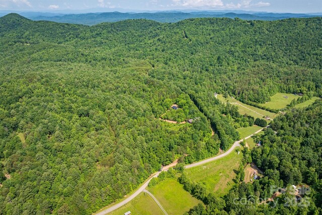 1533 Mcrary Creek Rd, Lenoir, NC 28645 - photo 25