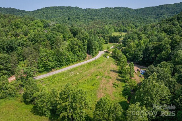 1533 Mcrary Creek Rd, Lenoir, NC 28645 - photo 31