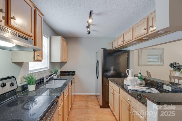 kitchen with appliances with stainless steel finishes, a sink, under cabinet range hood, light wood finished floors, and light brown cabinetry