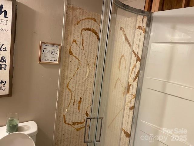 bathroom with a stall shower and toilet