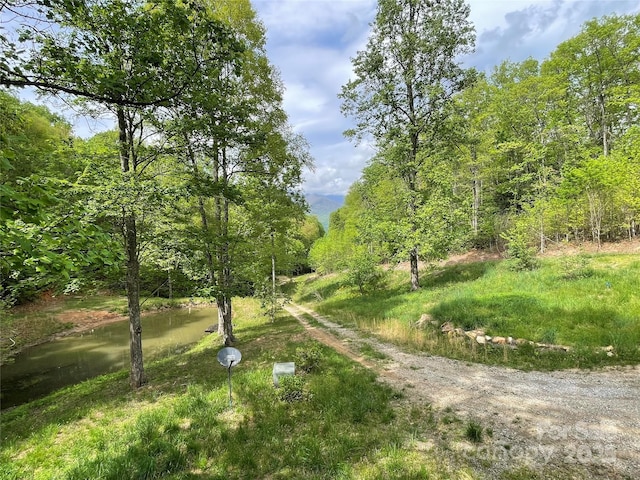 930 Copperhead Cv, Sylva, NC 28779