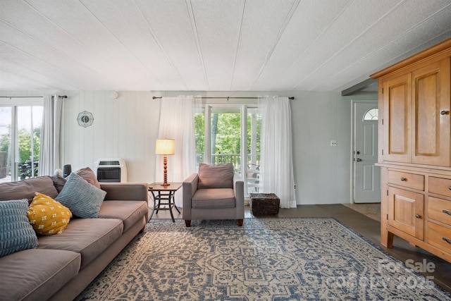 living room with wood walls, heating unit, and a wealth of natural light