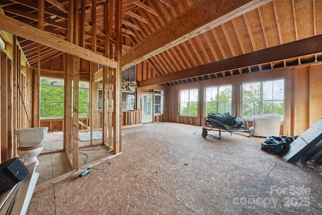 miscellaneous room with vaulted ceiling