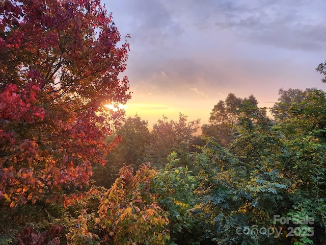 3181 Shag Bark Rd, Connelly Springs, NC 28612 - view of nature at dusk