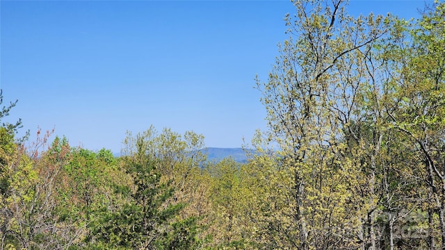 3181 Shag Bark Rd, Connelly Springs, NC 28612 - water view with a forest