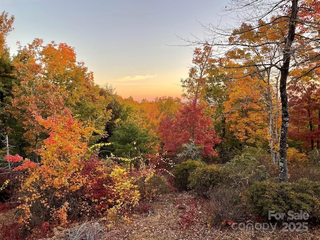 3181 Shag Bark Rd, Connelly Springs, NC 28612 - nature at dusk featuring a wooded view