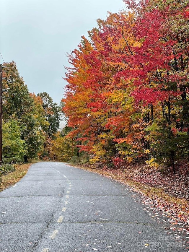 3181 Shag Bark Rd, Connelly Springs, NC 28612 - view of asphalt road