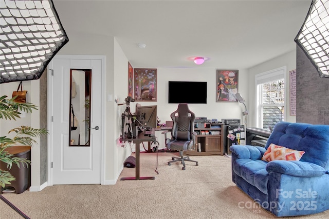 282 Fischer Rd, Fort Mill, SC 29175 - view of carpeted office space