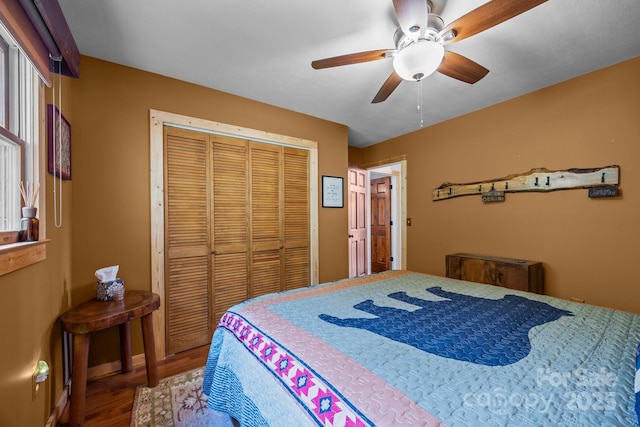 bedroom featuring multiple windows, a ceiling fan, a closet, and wood finished floors