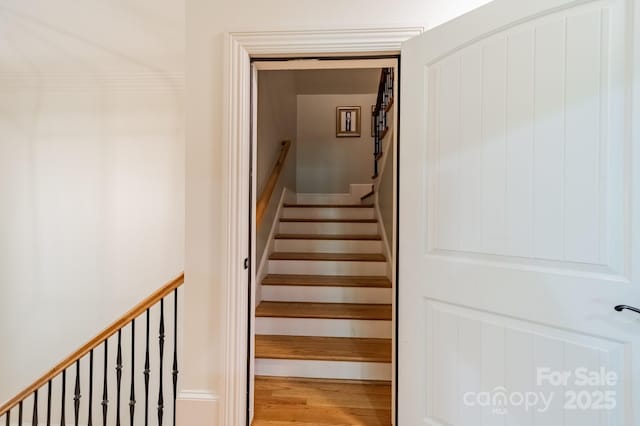 7138 Wessynton Dr, Charlotte, NC 28226 - photo 38