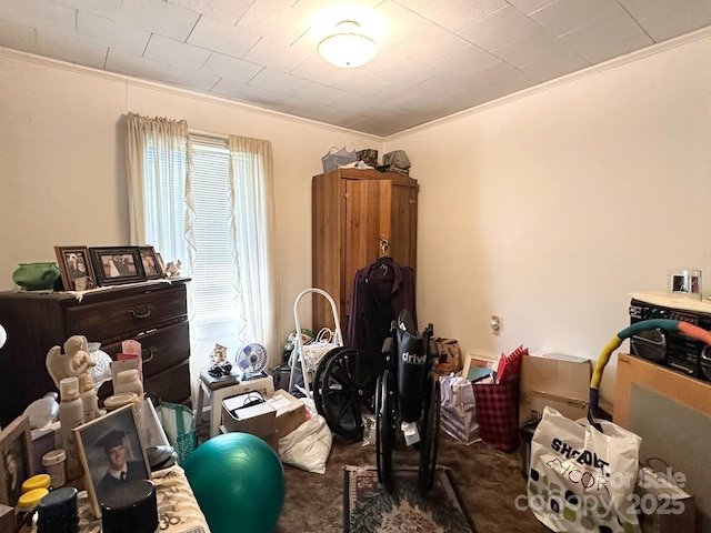 miscellaneous room featuring crown molding and carpet floors