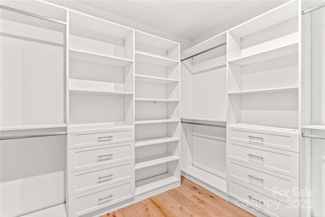 242 Shoreline Loop, Mooresville, NC 28117 - walk in closet with light wood-style floors