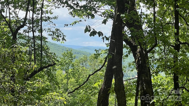 1110 Timberbluff Way, Arden, NC 28704
