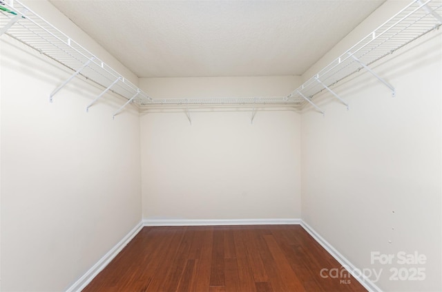 spacious closet with dark wood-style flooring