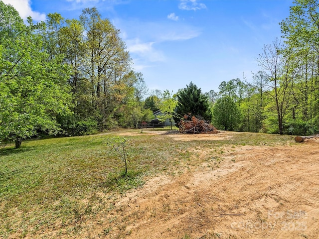 316 Big Raven Ln, Saluda, NC 28773 - view of yard
