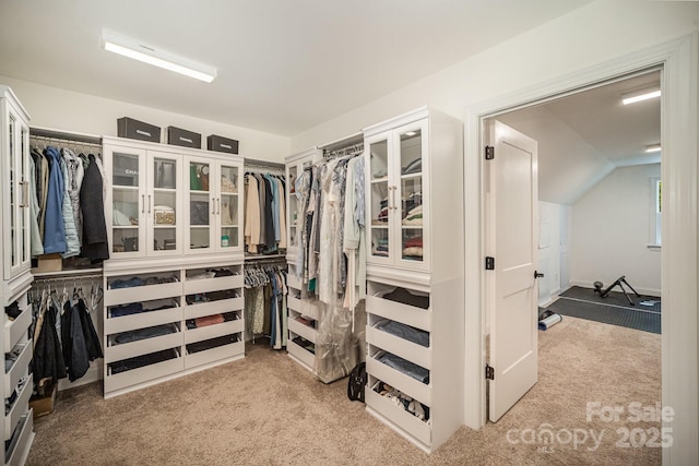 16432 Here At Last Ln, Charlotte, NC 28278 - spacious closet featuring carpet and vaulted ceiling