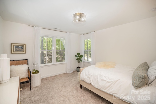 16432 Here At Last Ln, Charlotte, NC 28278 - bedroom featuring baseboards and carpet