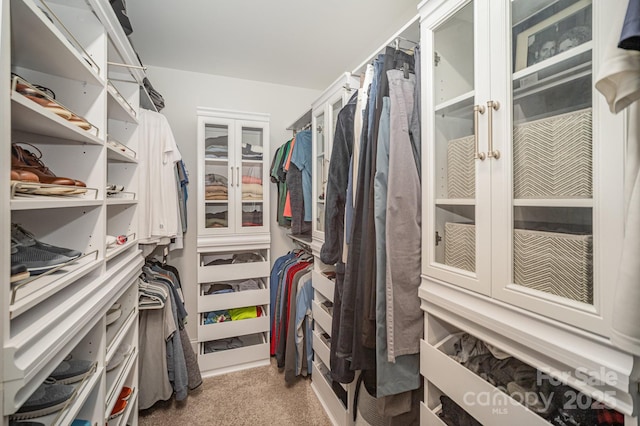16432 Here At Last Ln, Charlotte, NC 28278 - walk in closet with light colored carpet