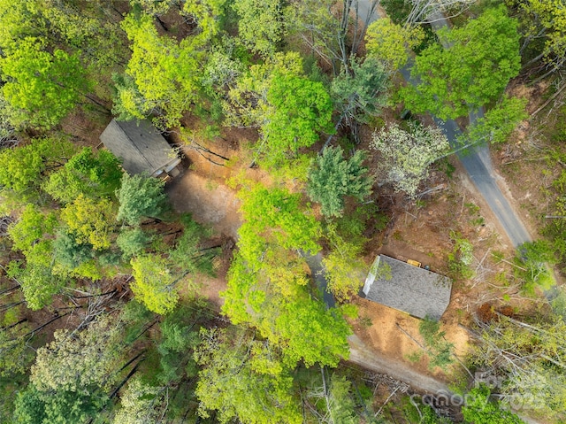 66 Avondale Heights Rd, Asheville, NC 28803 - aerial view