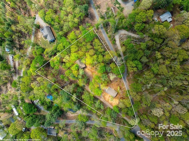 66 Avondale Heights Rd, Asheville, NC 28803 - aerial overview of property's location with property parcel outlined