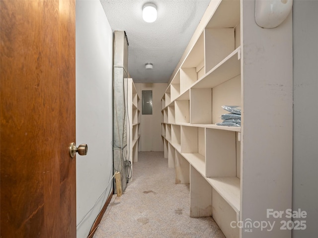 storage area with electric panel