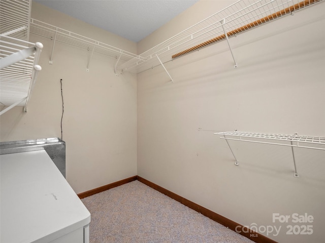 spacious closet with carpet flooring