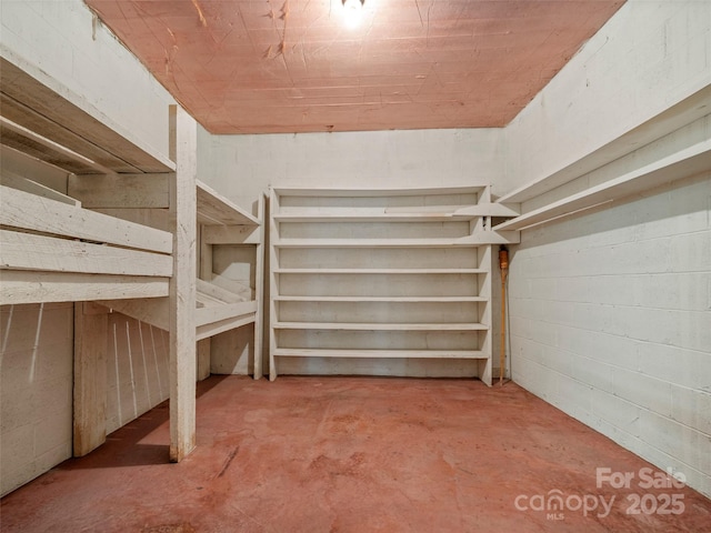 view of spacious closet