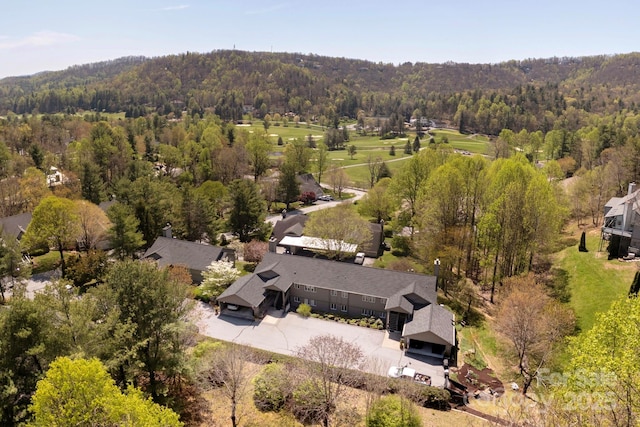 123 Burning Tree Ln, Flat Rock, NC 28731 - photo 5