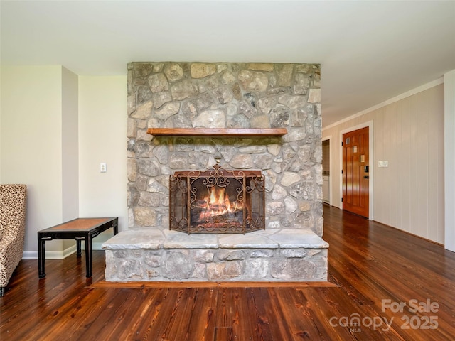 100 Ashton Ln, Brevard, NC 28712 - detailed view of wood finished floors, a stone fireplace, crown molding, and baseboards
