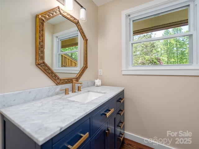 100 Ashton Ln, Brevard, NC 28712 - bathroom featuring baseboards, vanity, and wood finished floors