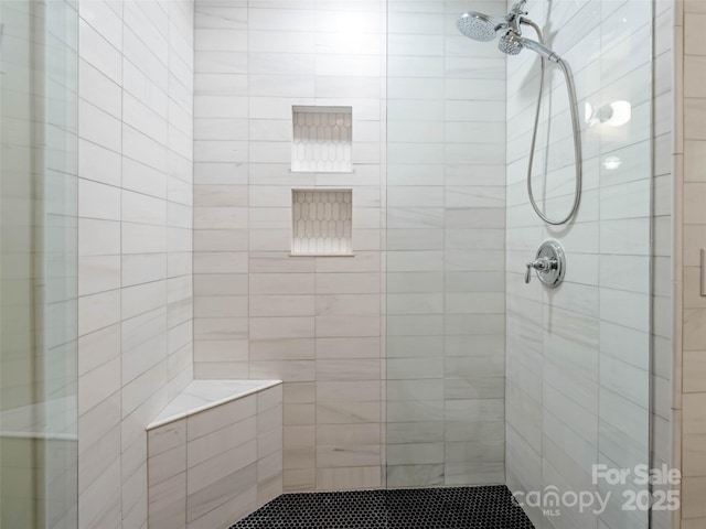 100 Ashton Ln, Brevard, NC 28712 - bathroom with a tile shower