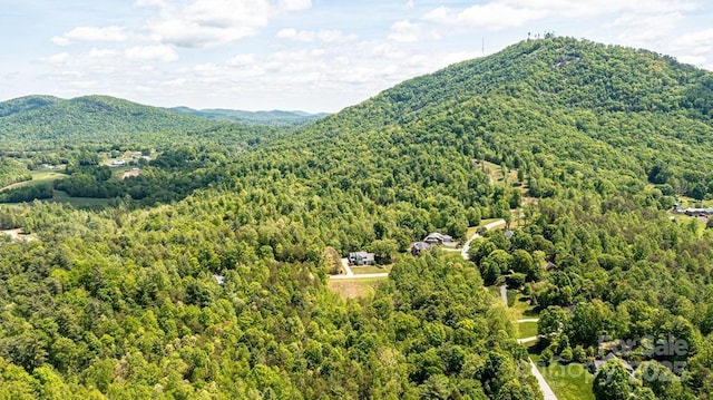 view of mountain feature featuring a view of trees