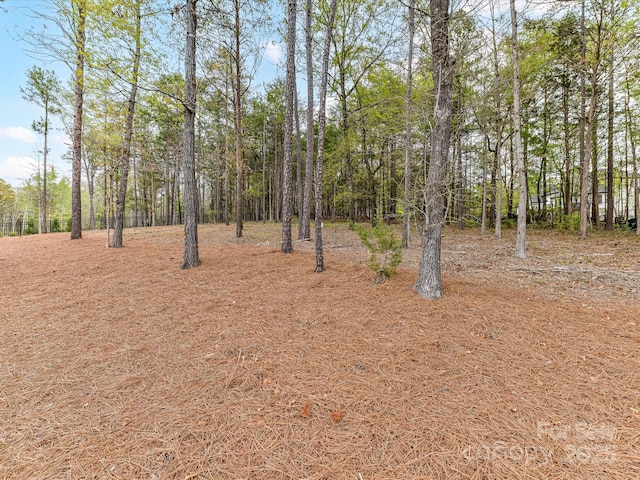 2954 Holbrook Rd, Fort Mill, SC 29715 - photo 38