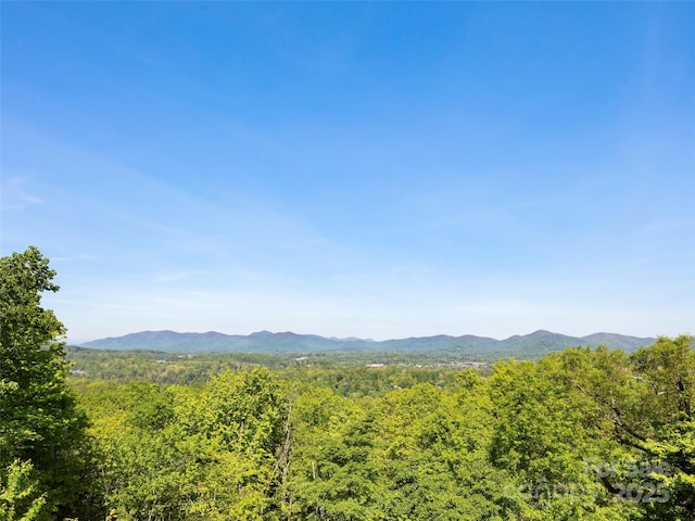 714 Wickhams Fancy Dr, Biltmore Lake, NC 28715 - mountain view featuring a forest view
