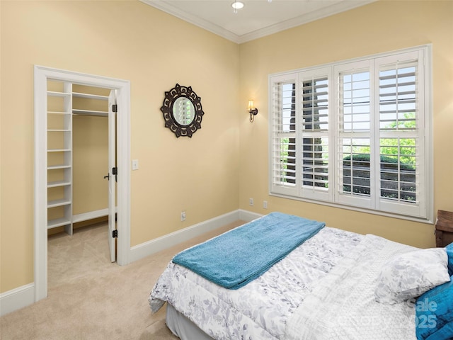 714 Wickhams Fancy Dr, Biltmore Lake, NC 28715 - bedroom with ornamental molding, carpet flooring, a spacious closet, and baseboards