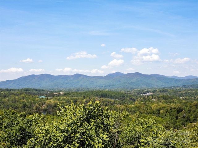 714 Wickhams Fancy Dr, Biltmore Lake, NC 28715 - property view of mountains featuring a wooded view
